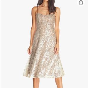 NWT Dress the Population Sequin Lace Fit and Flare Dress Sz S